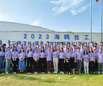 從戰(zhàn)略到執(zhí)行，四維衛(wèi)浴手把手教你如何破局